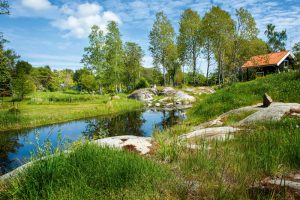 Trädgård med exotisk touch